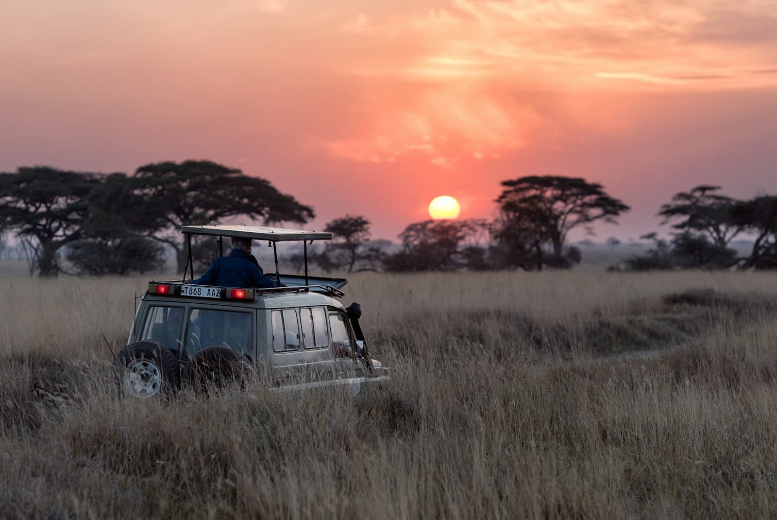 East African savanna with acacia trees and wide golden plains