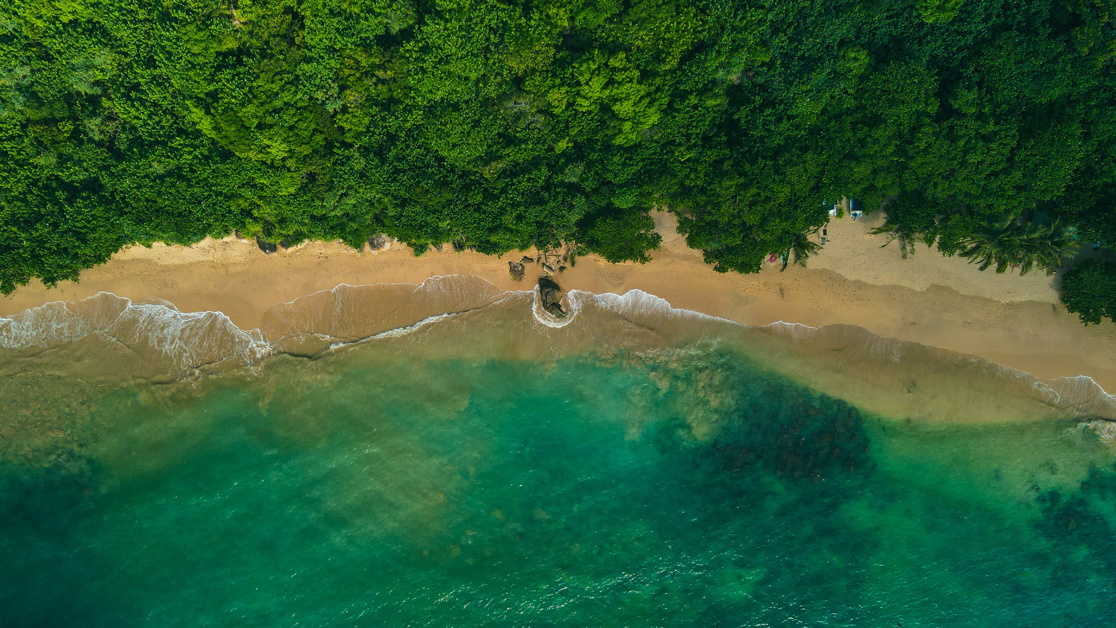 Sri Lanka coastline with tropical greenery